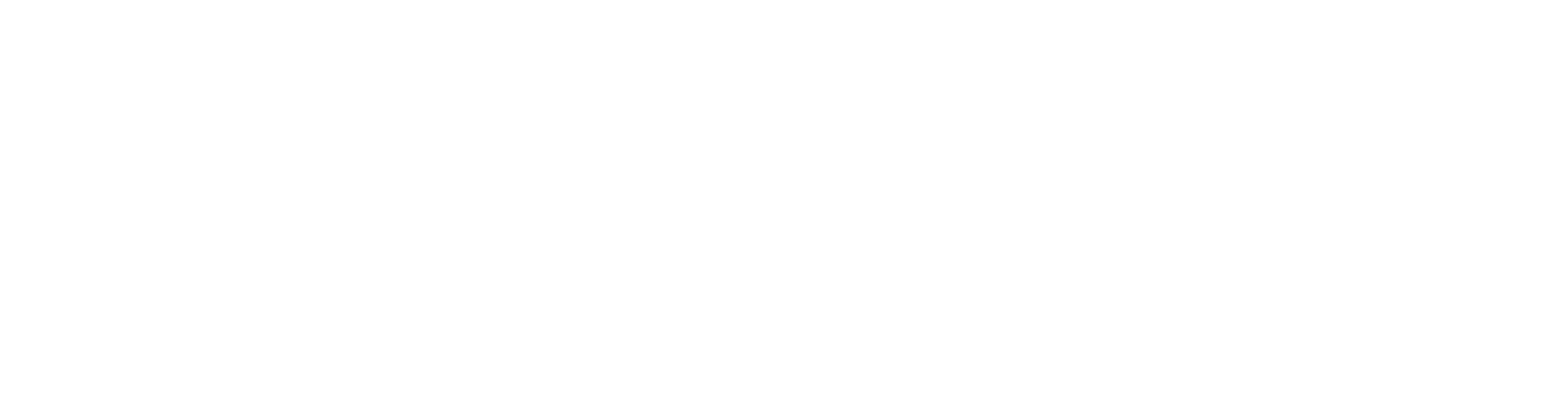 SpaceSeek Logo